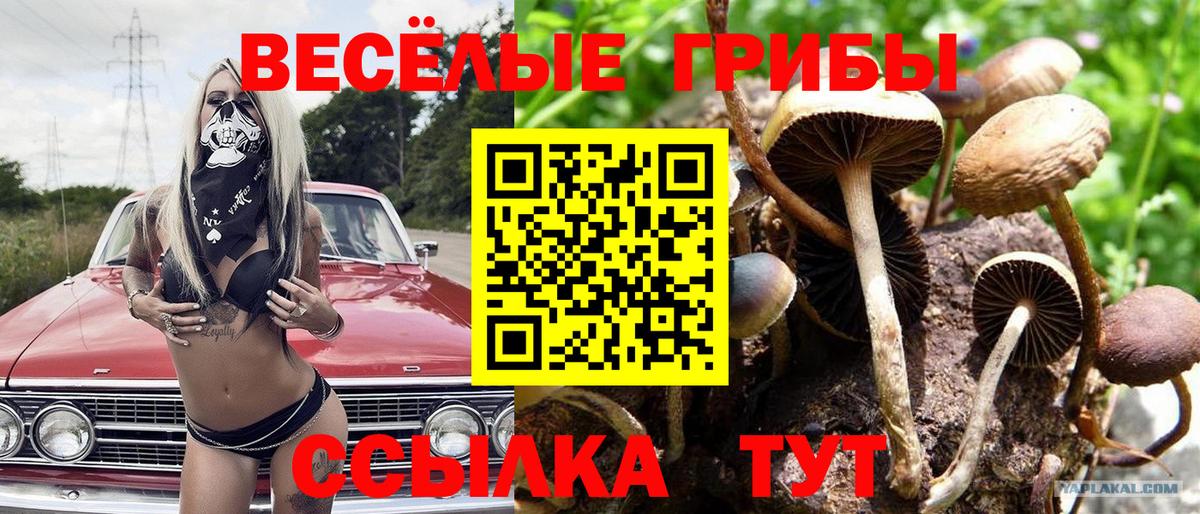 Псилоцибиновые грибы прущие грибы Златоуст